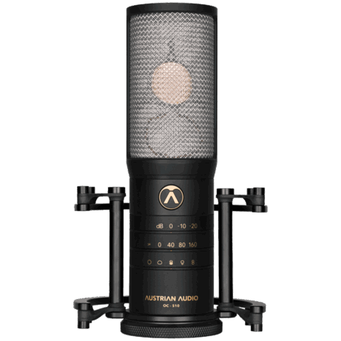 Austrian Audio OC-S10 Studio Set
