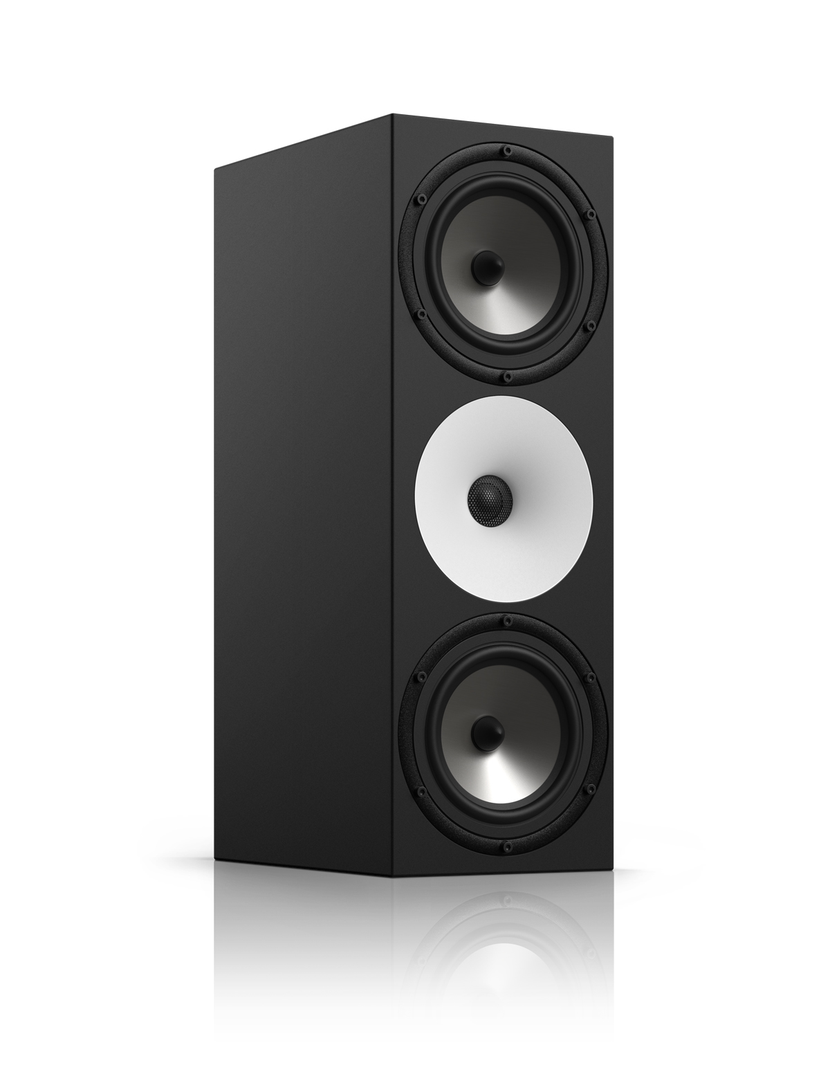 Amphion Two18 Pair (B-Ware) Amphion Two18 Pair (B-Ware)