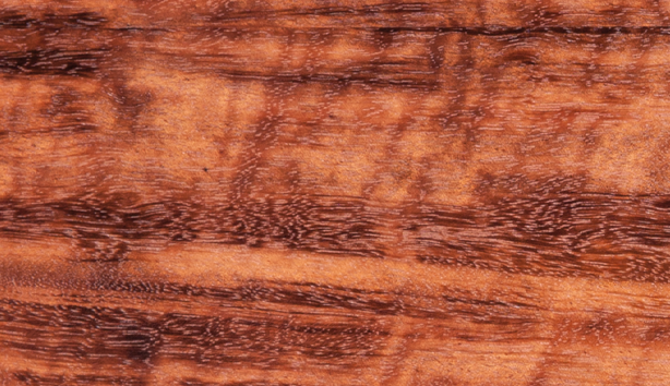 tigerwood_natur